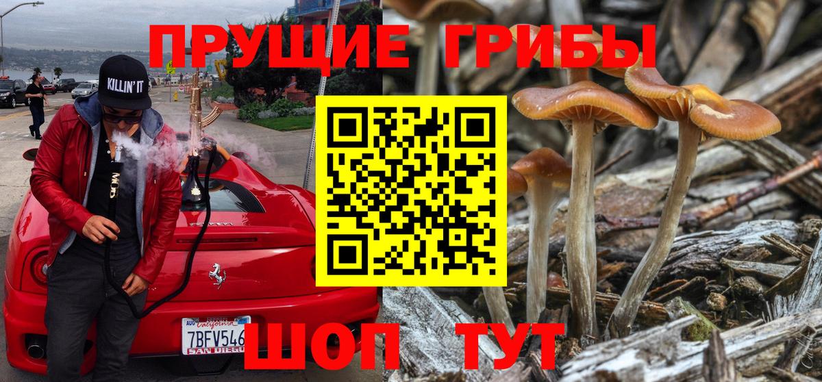 Псилоцибиновые грибы MAGIC MUSHROOMS Холмск