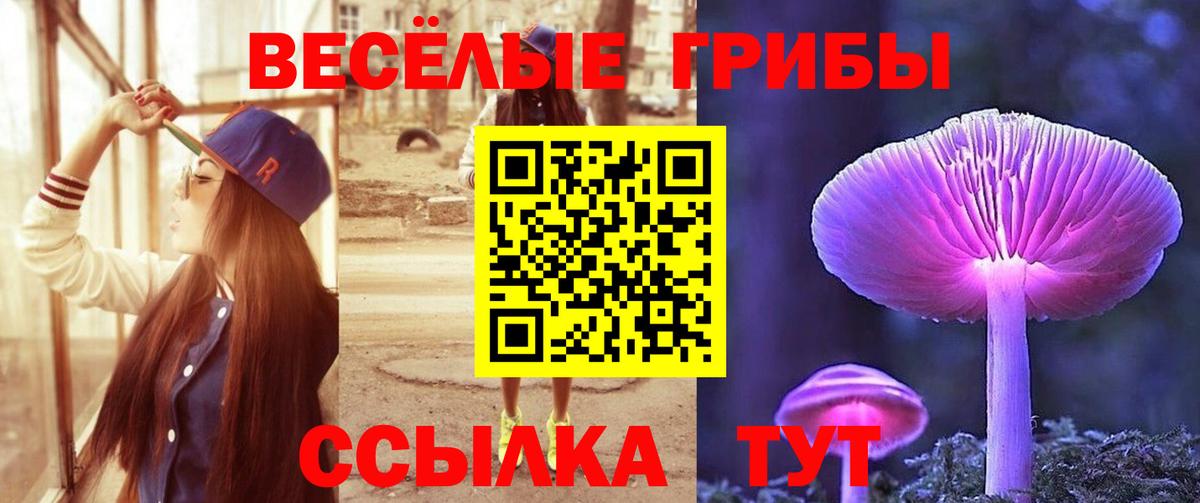 Псилоцибиновые грибы Magic Shrooms  наркотики  Холмск  Галлюциногенные грибы Psilocybe  Вход с VPN 